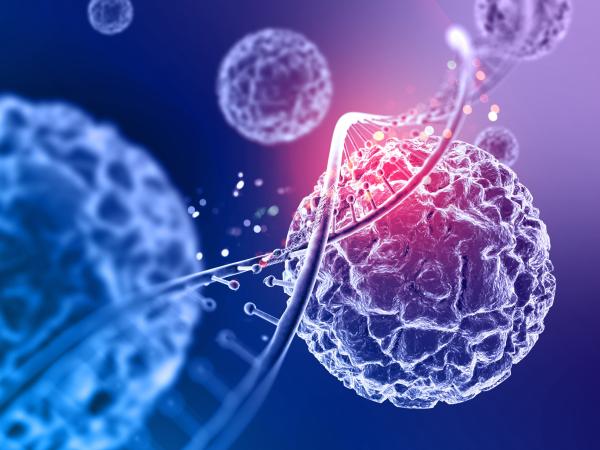 Biomarcadores: O que são e por que são importantes na medicina moderna